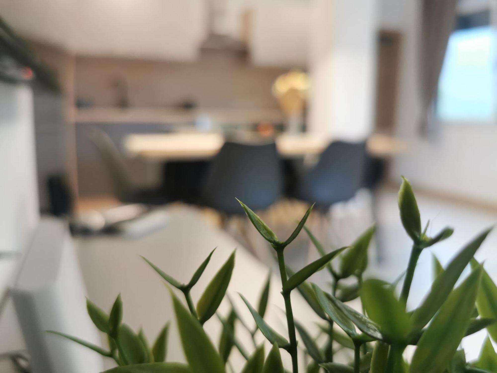 Apartma Bella Nadiza Kobarid Dış mekan fotoğraf